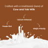 Medium Pumpkin Yak Milk Chews |100% Natural & Grain-Free | DogHut