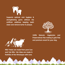 Medium Pumpkin Yak Milk Chews |100% Natural & Grain-Free | DogHut