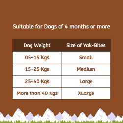 Medium Pumpkin Yak Milk Chews |100% Natural & Grain-Free | DogHut