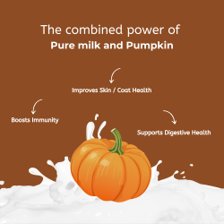Pumpkin Yak Milk Chews Large |100% Natural & Grain-Free | DogHut