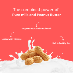 Peanut Butter Milk Chews XLarge |100% Natural | DogHut