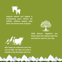 Mint Milk Chews XLarge |100% Natural & Grain-Free | DogHut