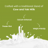 Medium Mint Yak Milk Chews |100% Natural & Grain-Free | DogHut